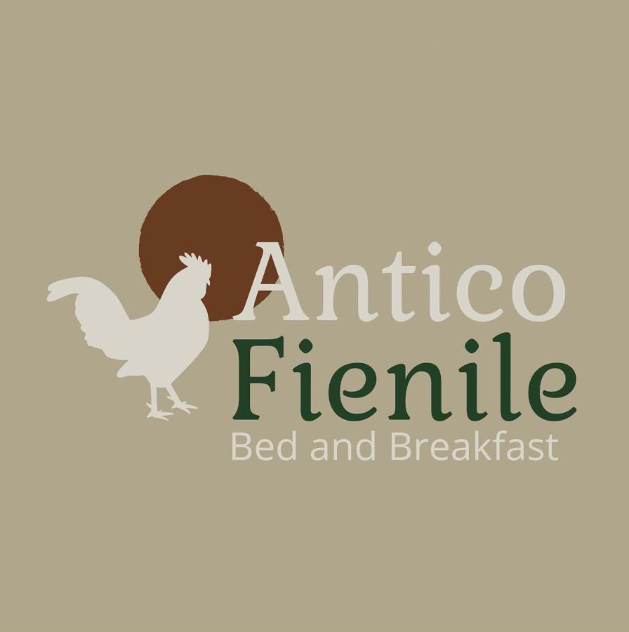 B&B Antico Fienile 고리치아 외부 사진